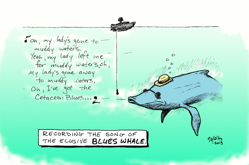 130526 Blues Whale